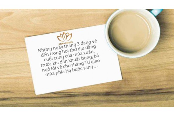 CHÀO THÁNG 3 - THÁNG CHO NHỮNG NGƯỜI PHỤ NỮ YÊU THƯƠNG